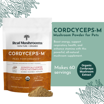 Organic Cordyceps Mushroom Powder for Pets (60 g) – Energy & Respiratory Support