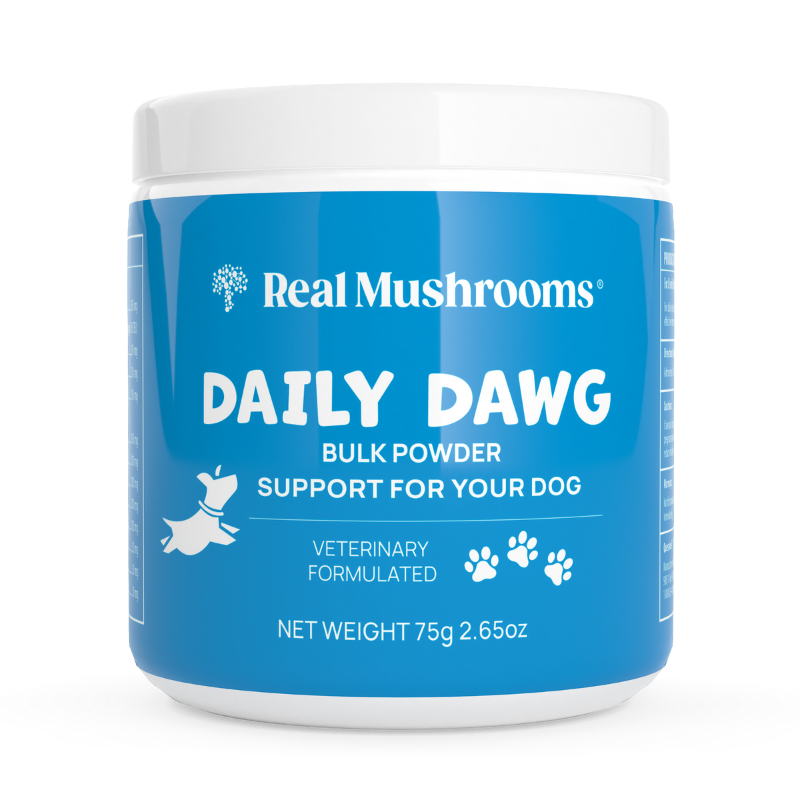 Daily Dawg Immune Powder for Dogs - Organic Mushroom Blend for Health & Longevity