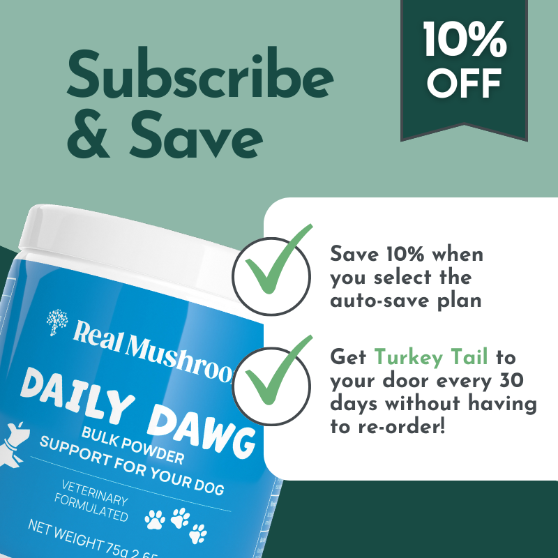 Daily Dawg Immune Powder for Dogs - Organic Mushroom Blend for Health & Longevity