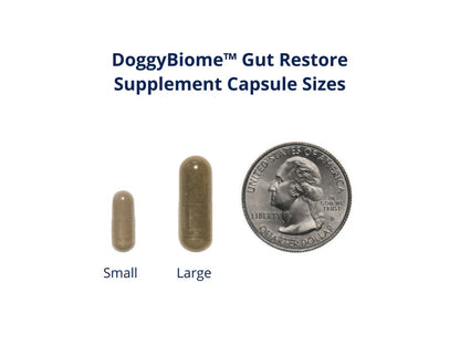 FMT Gut Restore: Ultimate Gut Restoration Supplement for Dogs