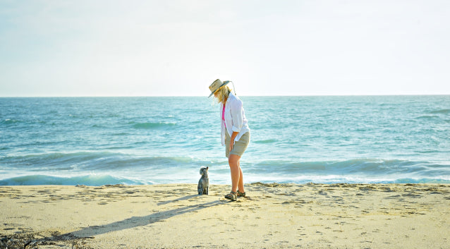 Become a Certified Holistic Pet Health Coach | Dr. Ruth Roberts Vet Courses