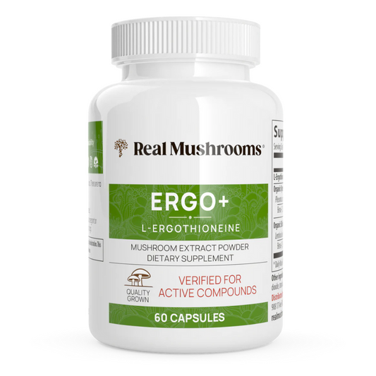 Ergo+ Pure Golden Oyster Mushrooms L-ergothioneine Supplement