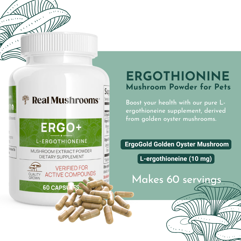 Ergo+ L-ergothioneine Supplement