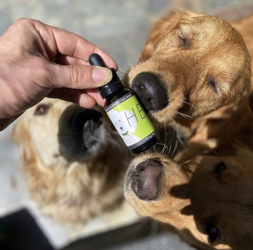 HEAL: Hemp Oil for Dogs - (Seizures, Auto-Immune, Cushing's, Cancer & Tumors)