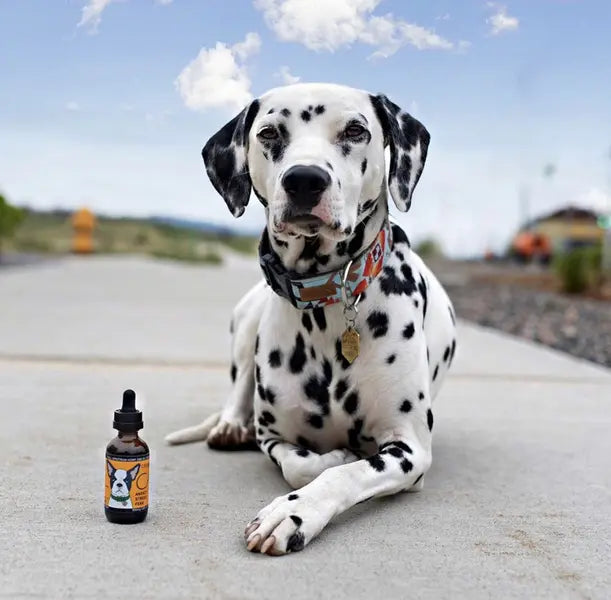 CALM: Hemp Oil for Dogs (Anxiety, Behavioral Issues, Promotes Balanced Emotional State)