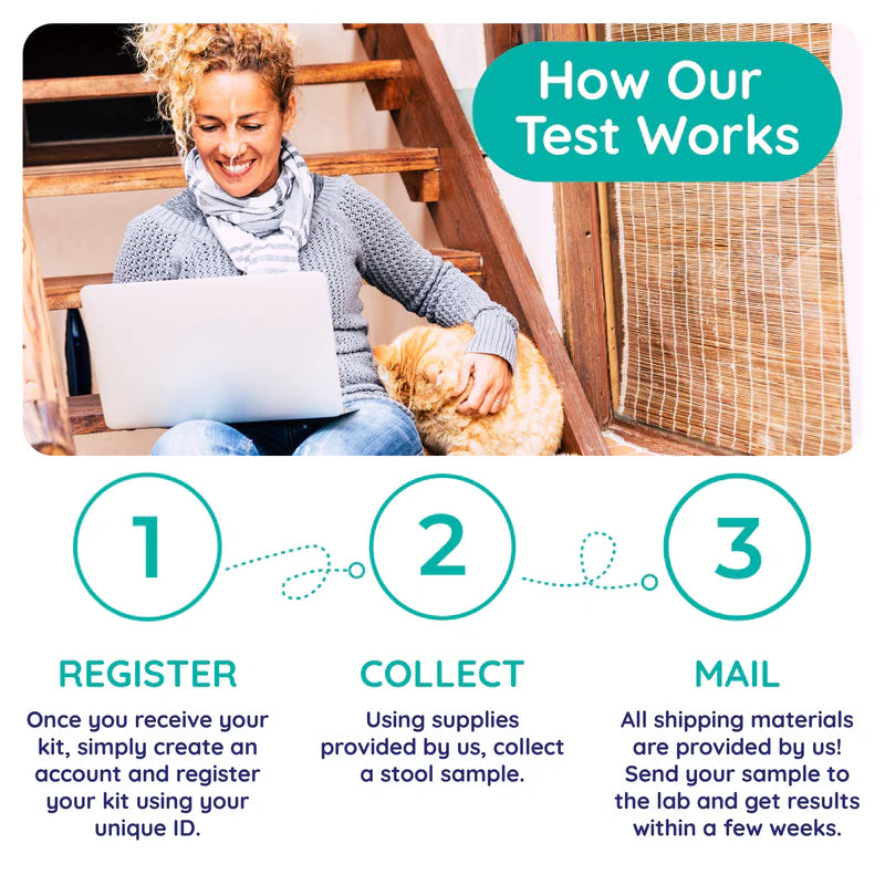 Cat - Comprehensive Gut Check for Cats