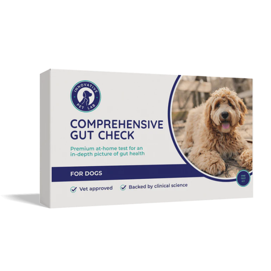 Dog - Comprehensive Gut Check for Dogs