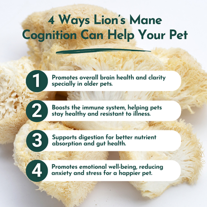 Lion's Mane Mushroom Powder for Pets (60 g)  – Brain Health & Cognitive Support