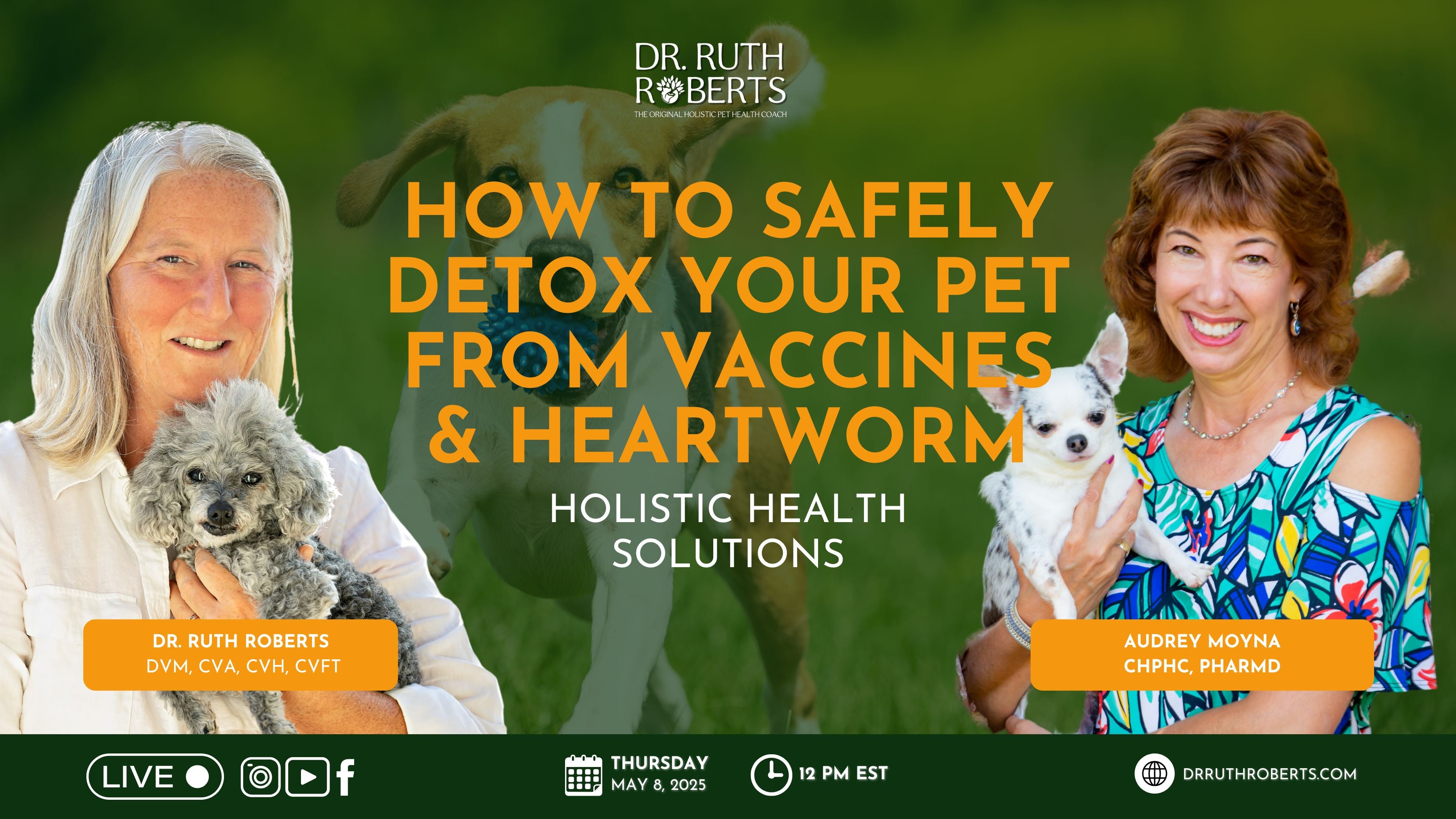 Upcoming Holistic Pet Care Events | Dr. Ruth Roberts