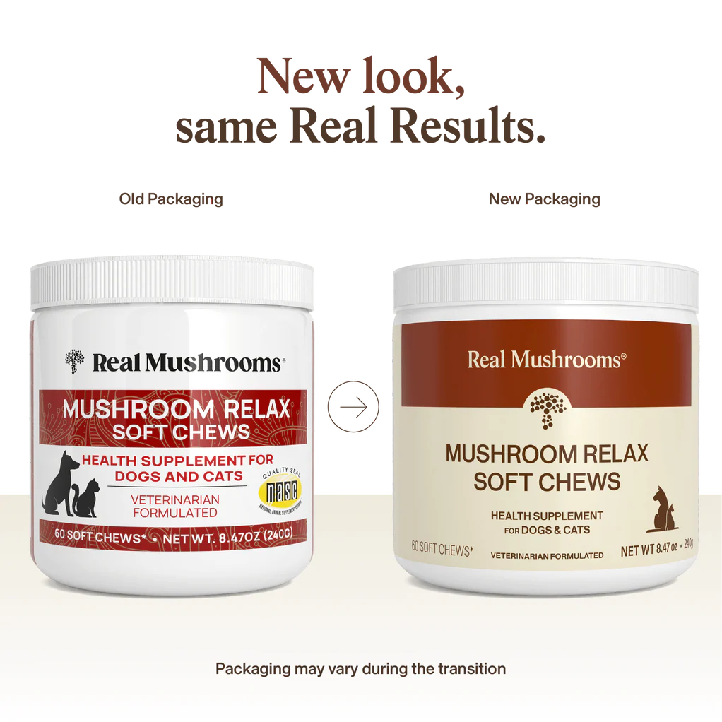 Mushroom Relax Pet Chews - Calming Treats for Dogs and Cats