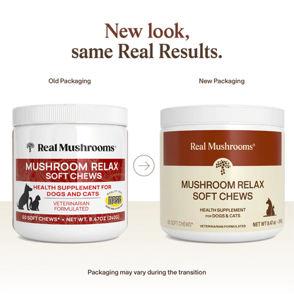 Mushroom Relax Pet Chews - Calming Treats for Dogs and Cats