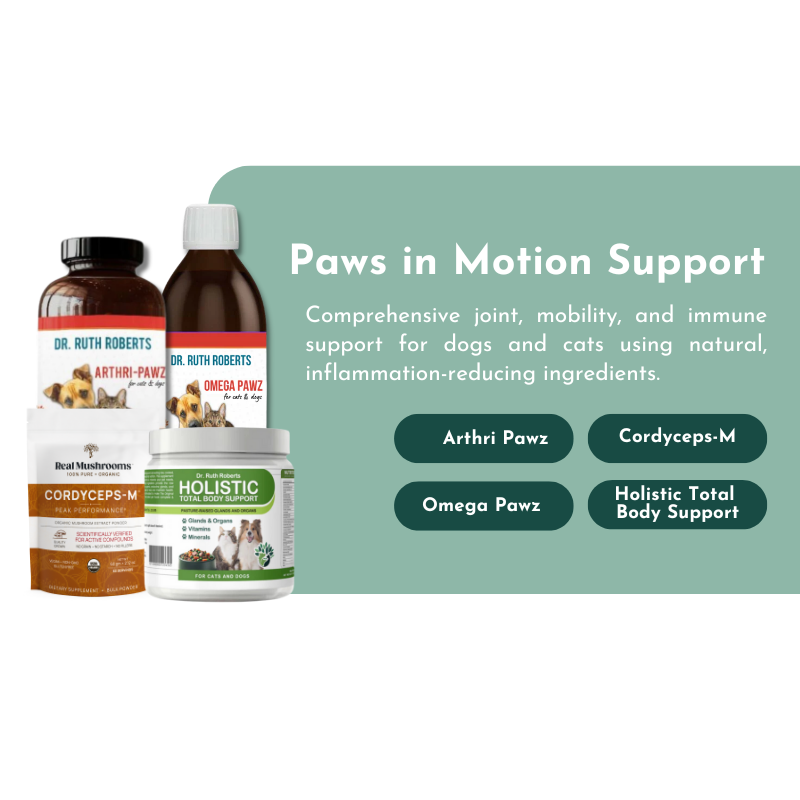 Paws in Motion Support - Joint Health