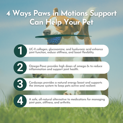 Paws in Motion Support: Joint & Whole-Body Wellness for Pets