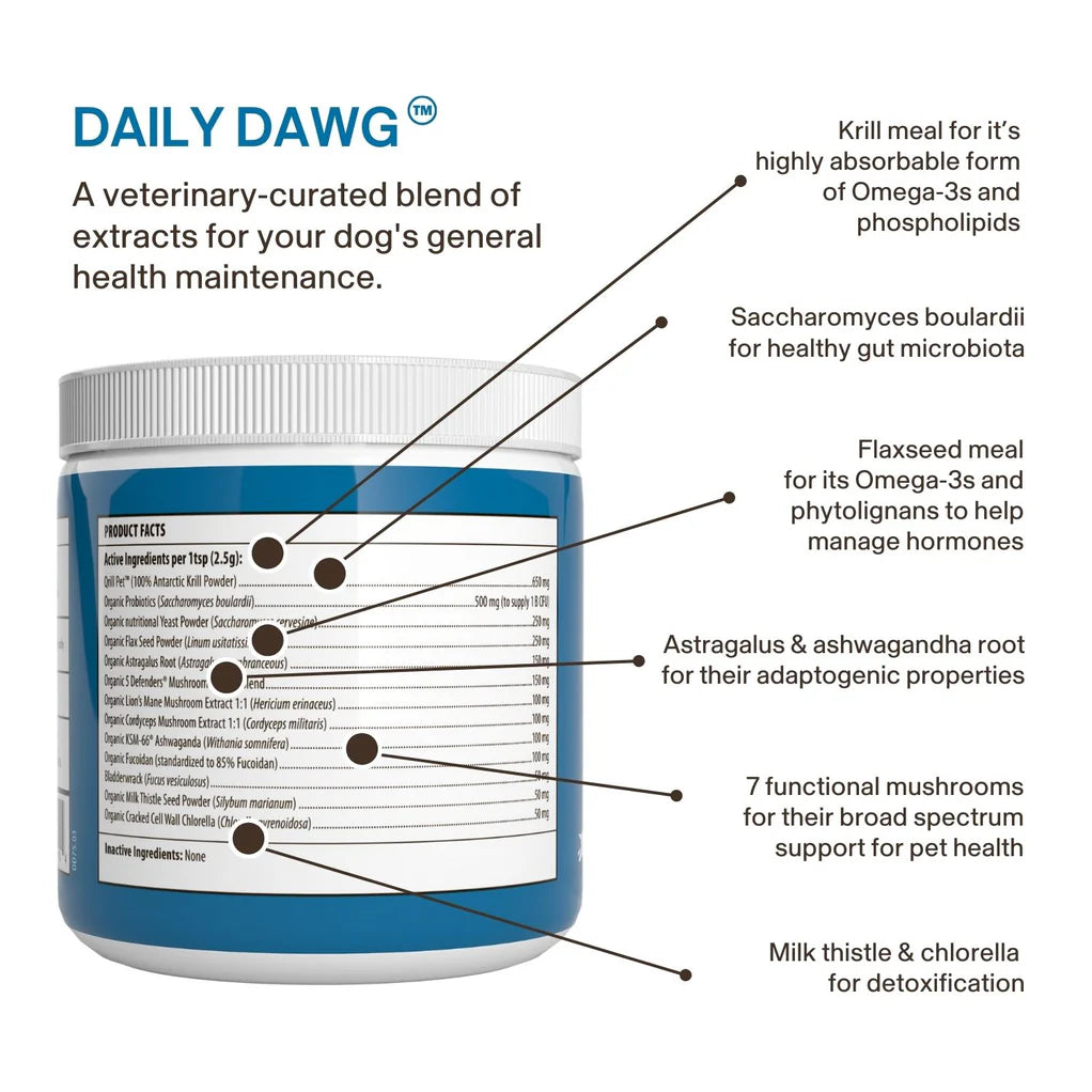 Daily Dawg Immune Powder for Dogs - Organic Mushroom Blend for Health & Longevity