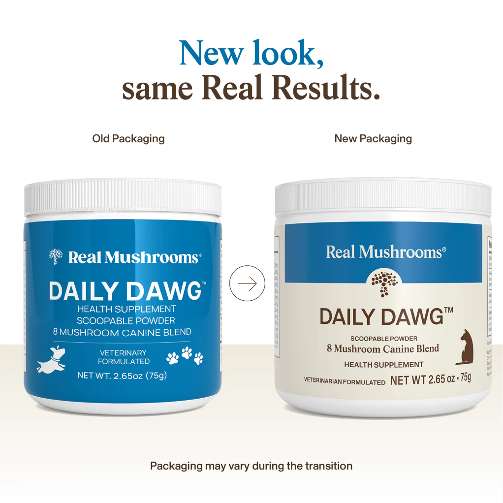 Daily Dawg Immune Powder for Dogs - Organic Mushroom Blend for Health & Longevity