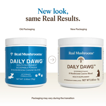 Daily Dawg Immune Powder for Dogs - Organic Mushroom Blend for Health & Longevity