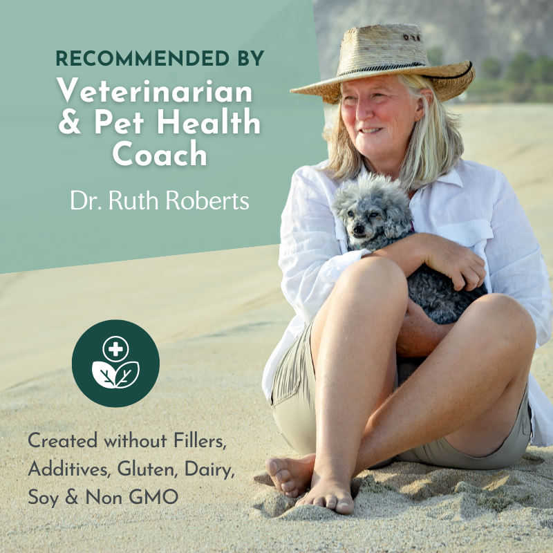 Reishi Mushroom Powder for Dogs & Cats (45 g) – Immune, Sleep, and Anxiety Support