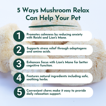 Mushroom Relax Pet Chews - Calming Treats for Dogs and Cats