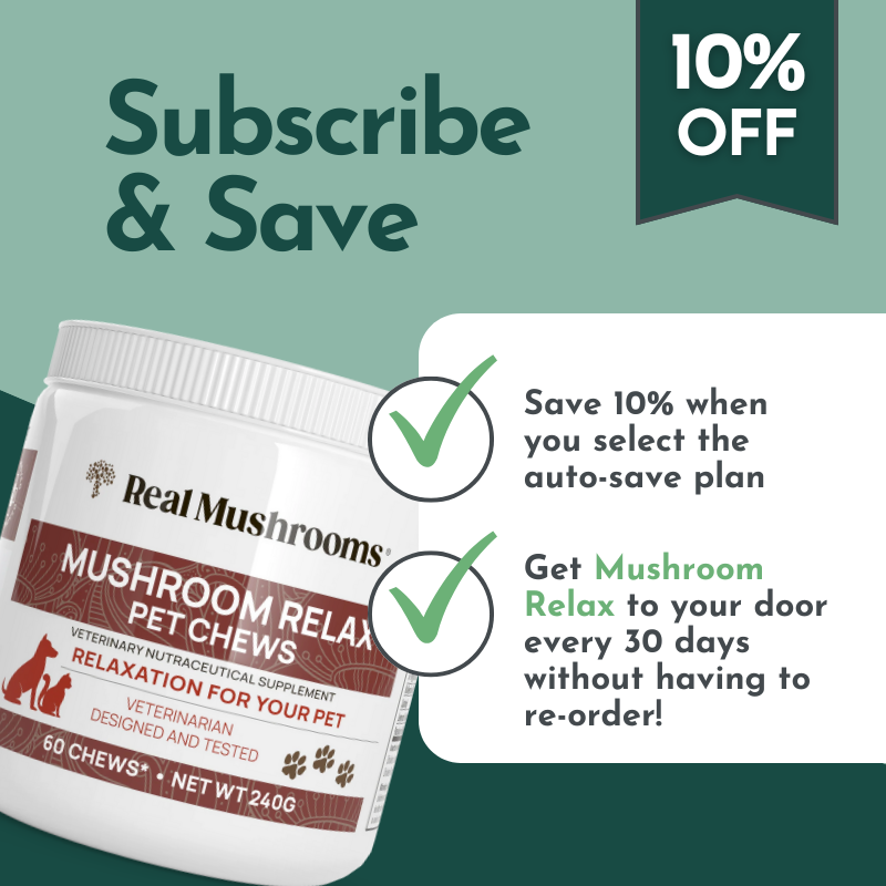 Mushroom Relax Pet Chews - Calming Treats for Dogs and Cats