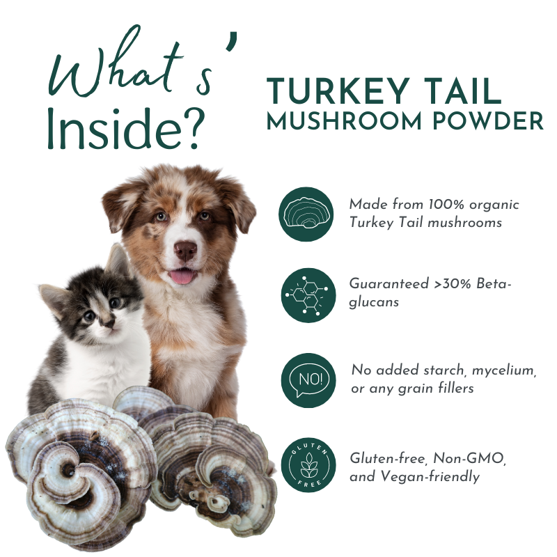 Organic Turkey Tail Mushroom Powder for Pets (45 g)