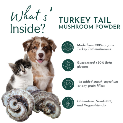 Organic Turkey Tail Mushroom Powder for Pets (45 g)