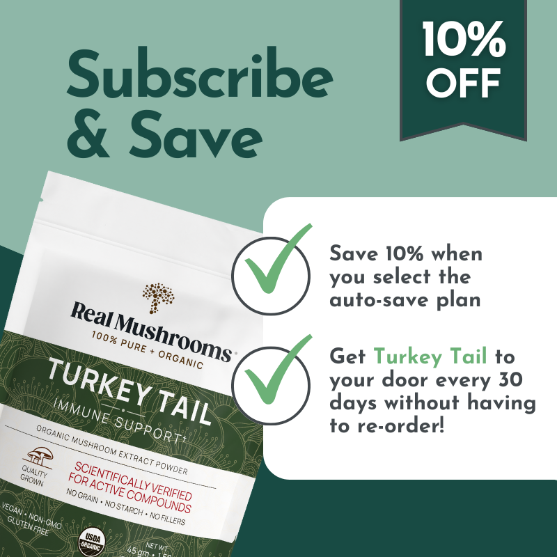 Organic Turkey Tail Mushroom Powder for Pets (45 g)