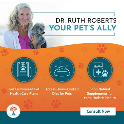 Ongoing Holistic Health Consultation Package | Dr. Ruth Roberts