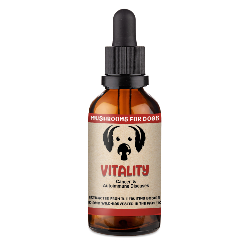 Vitality Mushroom Drops Bottle, Cancer and Autoimmune Disease