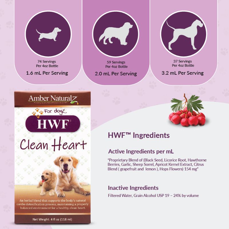 HWF Clean Heart