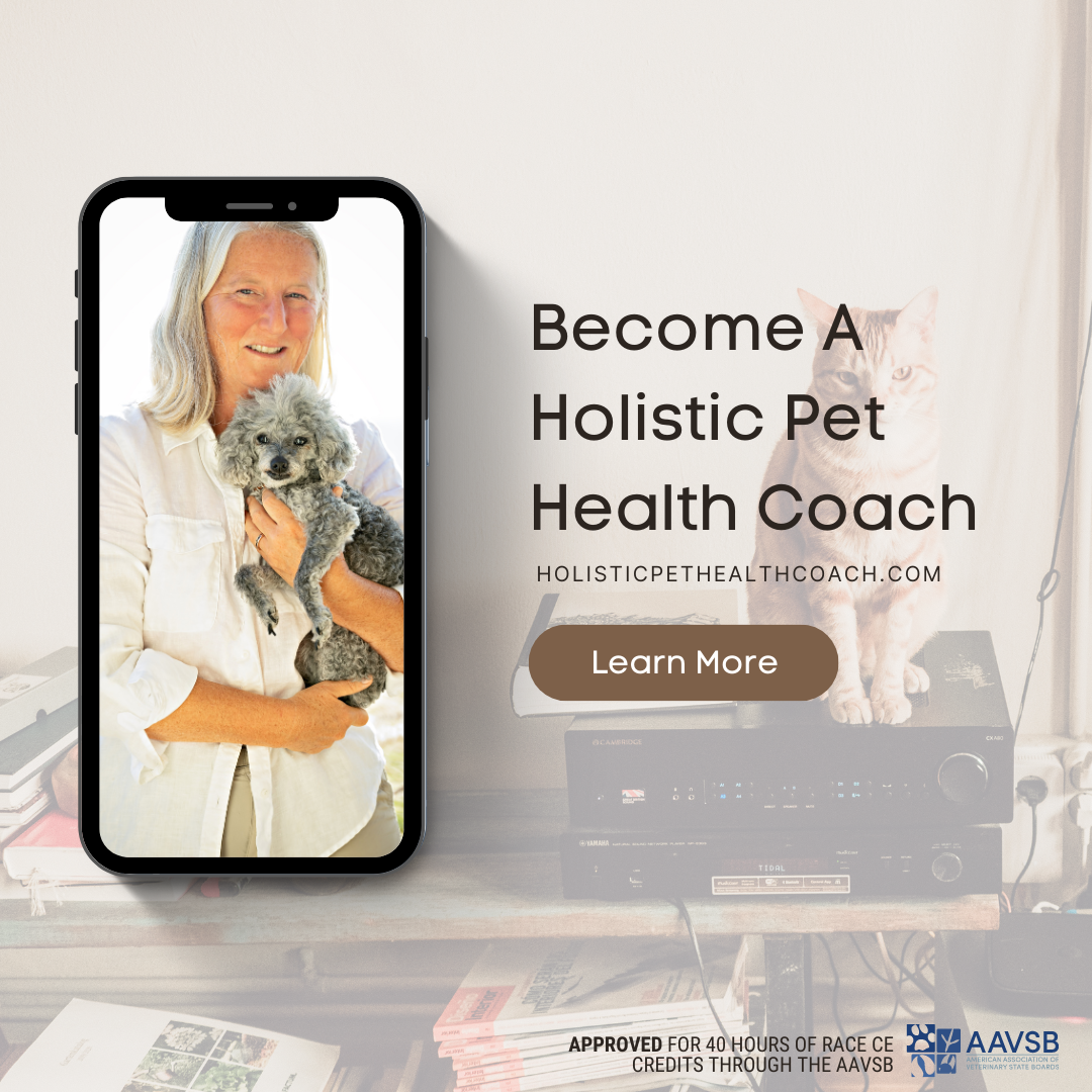 Holistic Pet Health Coach Certification Program - Weekly Payment Plan