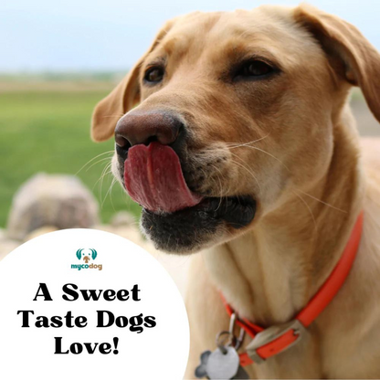 Vitality - Mushrooms For Dogs | Cancer & Autoimmune Supplement | a sweet Taste dogs love
