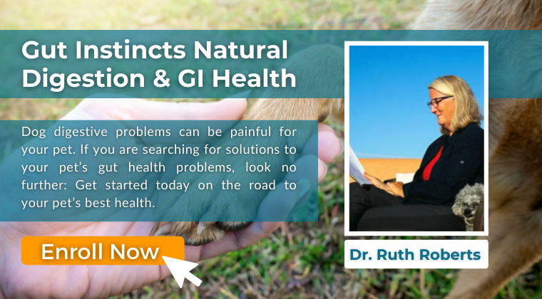 Gut Instincts Natural Digestion & GI Health - Enroll Now