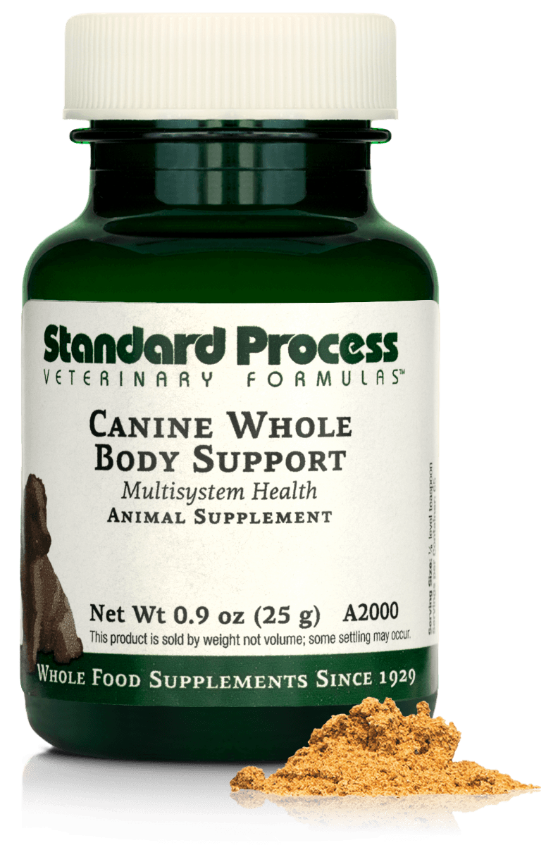 Canine Whole Body Support, 25 g