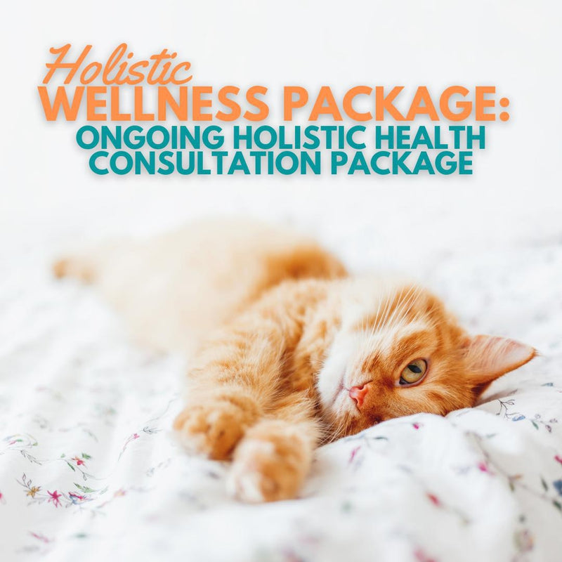 Ongoing Holistic Health Consultation Package | Dr. Ruth Roberts