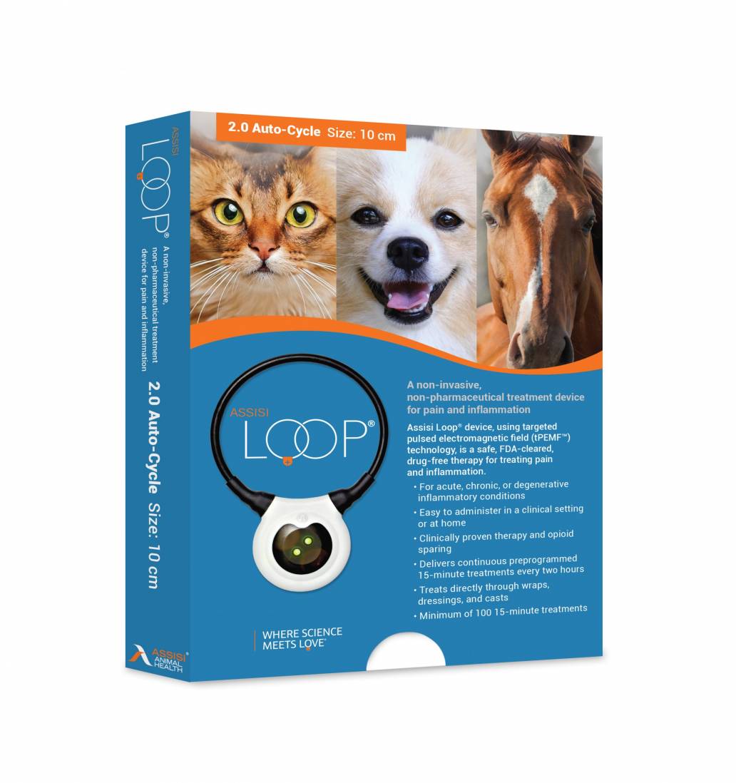 Assisi Loop® 2.0 10cm Auto-Cycle