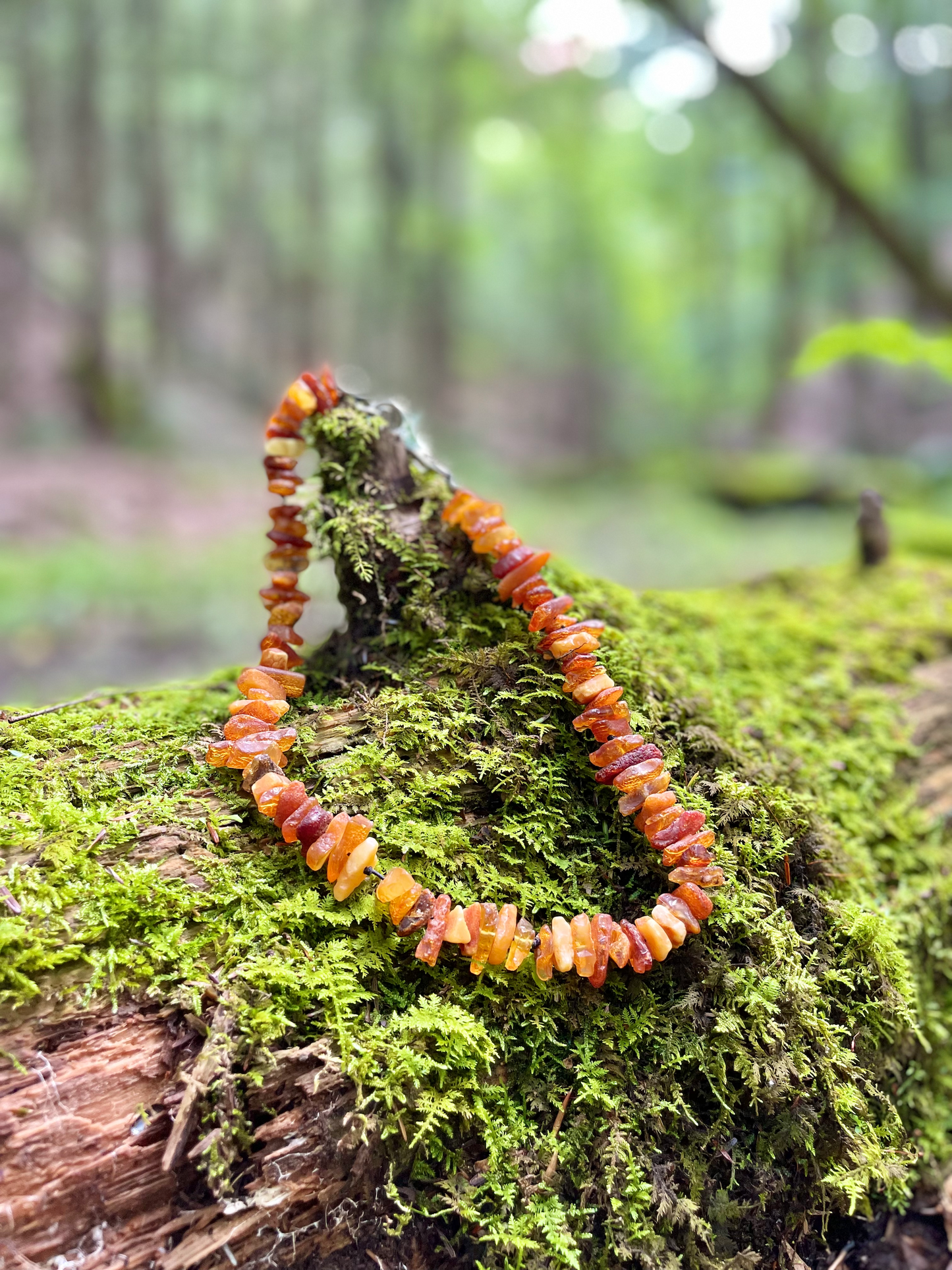 Baltic Amber Flea Protection Collars photo