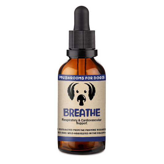 Breath Pet Respiratory Supplements Dropper