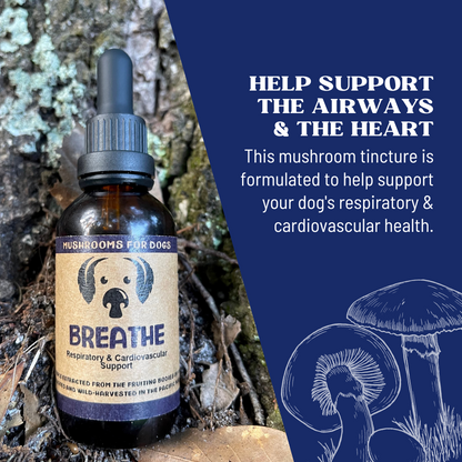 Breath Pet Respiratory Supplements Benefits