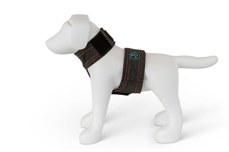 Calmer Canine Anxiety Treatment System: Vest Only