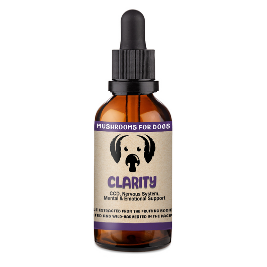 Clarity Bottle - Brain Supplement For Dogs  with OCD, Nervous System, Mental & Emotional Disorder