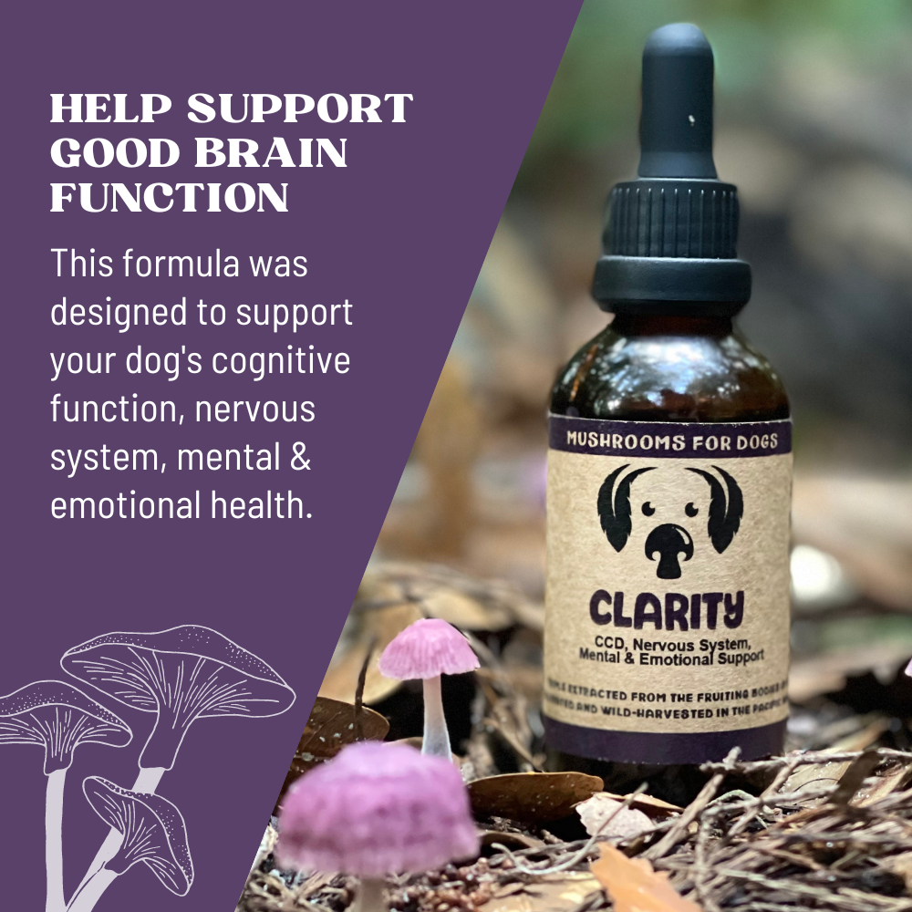 Clarity Brain Supplement For Dogs  - Ingredients and Instruction 