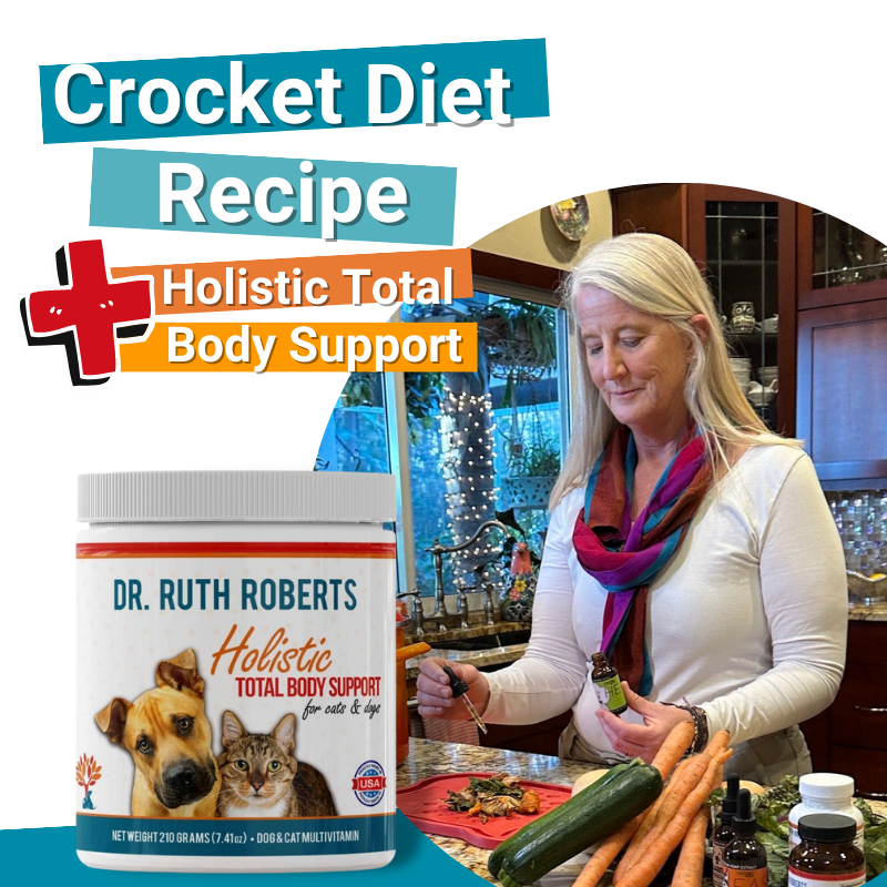 Crockpet diet best sale