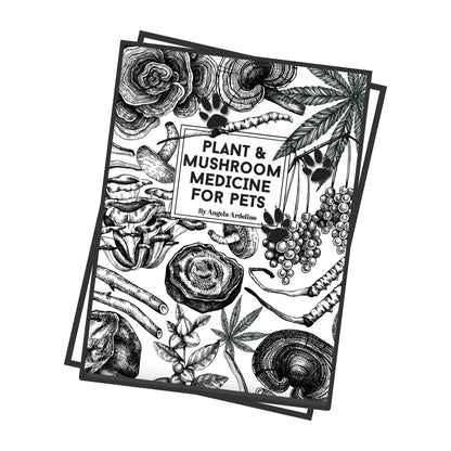Plant & Mushroom Medicine for Pets Book  Cover