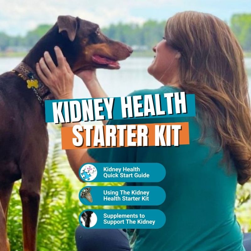 Kidney Health Care Course for Dogs and Cats