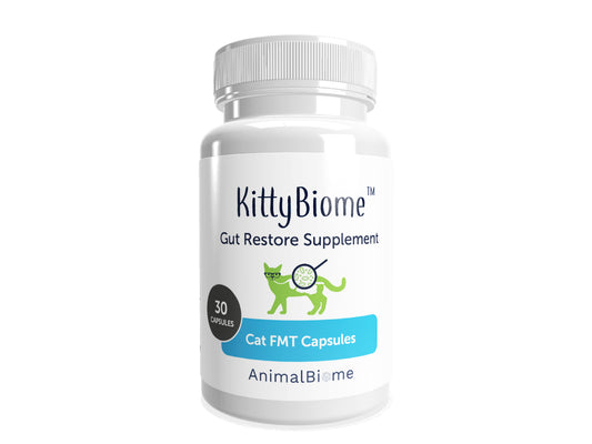 FMT Gut Restore Capsules For Cats