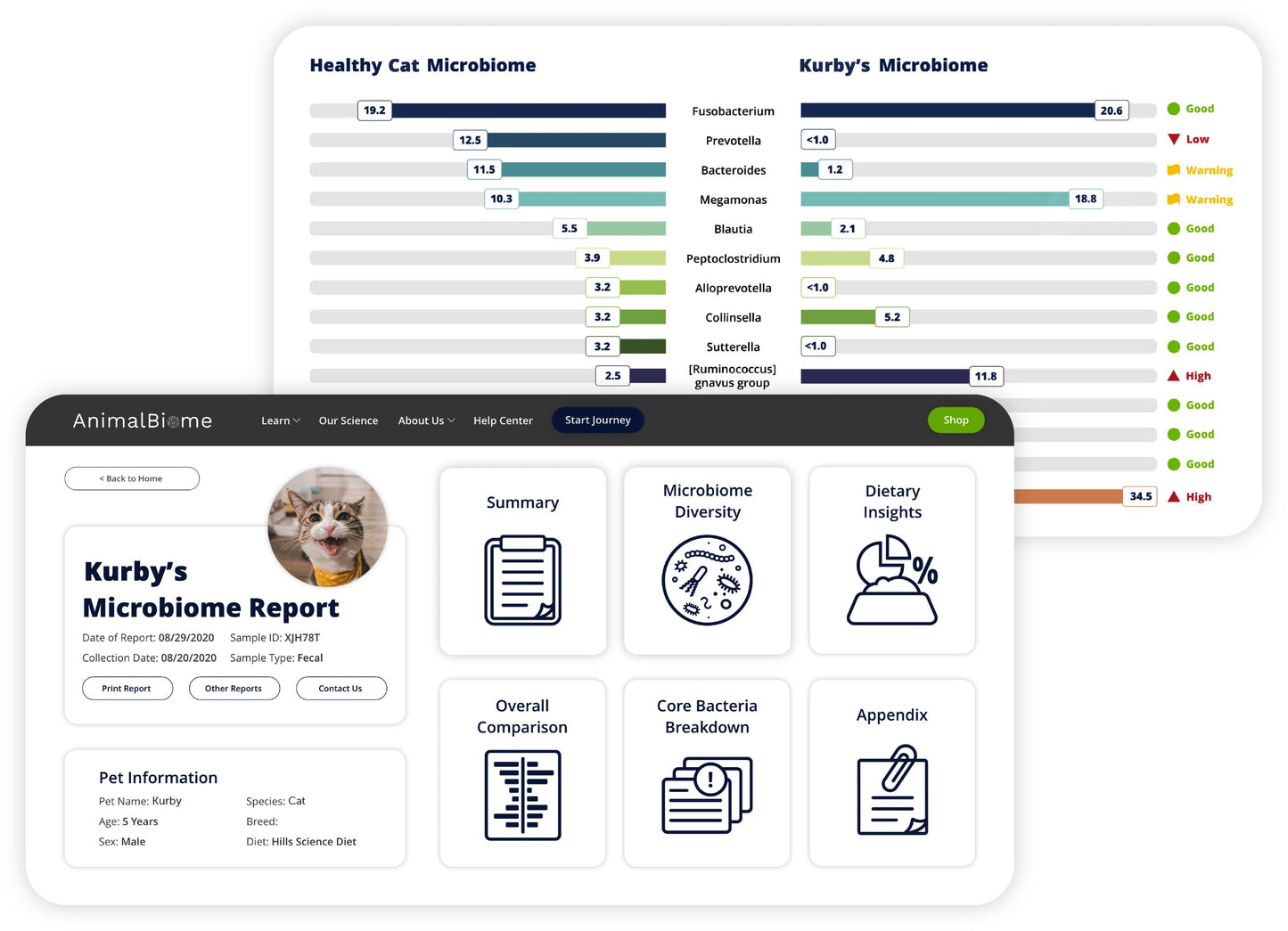 KittyBiome™ Gut Health Test microbiome report