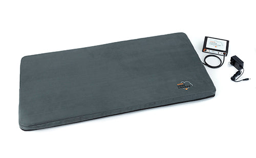 Assisi Loop Lounge Medium tPEMF System