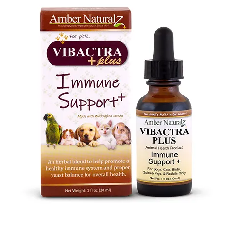 Vibactra Plus Bottle 30 ml - Immune Booster and Yeast Balance 