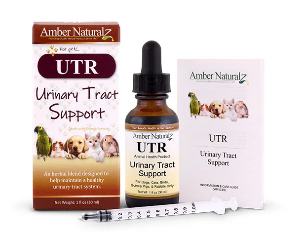 UTR Bottle 30 ml - Urinary Tract Support