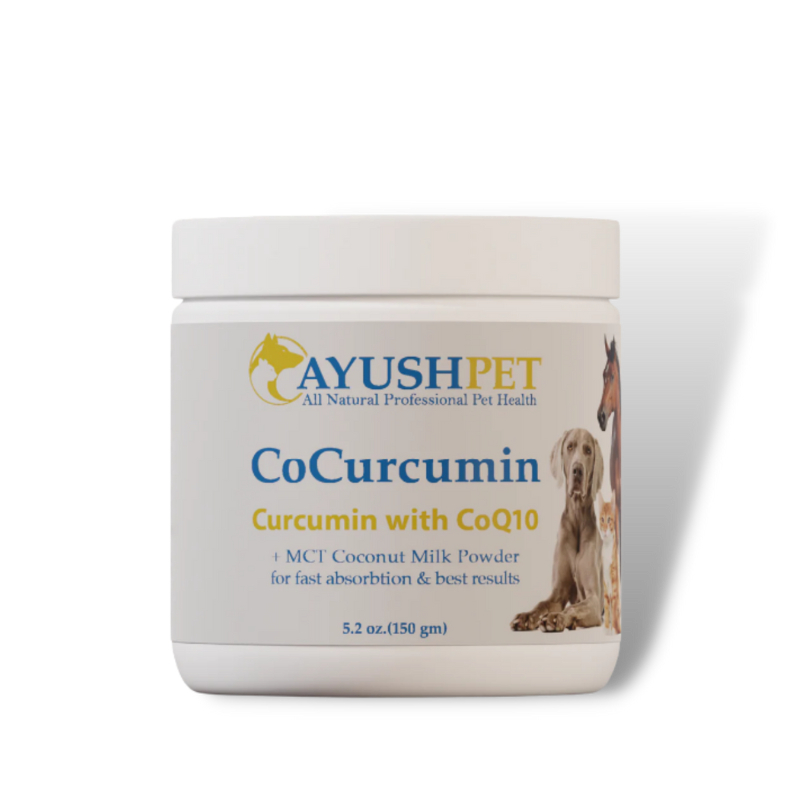 CoCurcumin Bottle 5.2 oz (150 ml) - Ear Care Solution for Pet